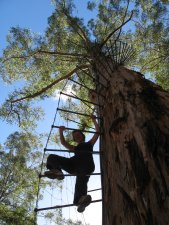 Eine alter Feuerausguck
