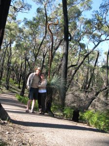 Eine dieser Widerstandsf�higen K�ngeroo-Tails