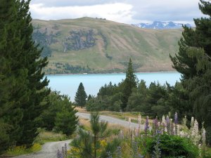 Lake Tekapo mit Observatorium